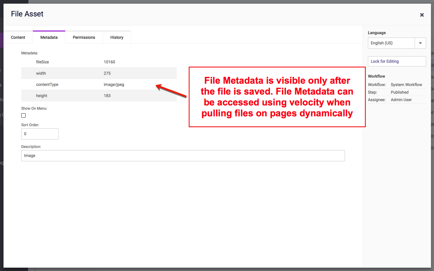 Metadata Tab - Edit File